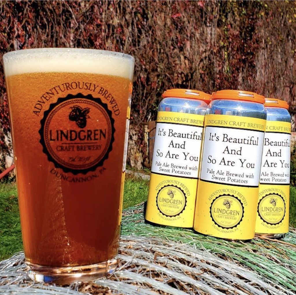 Lindgren Craft Brewery Plans March Opening in Duncannon - Photo 1